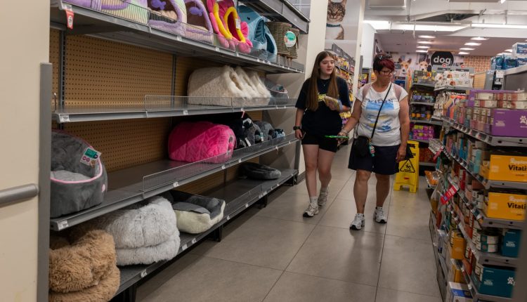 PPI inflation report July 2025: