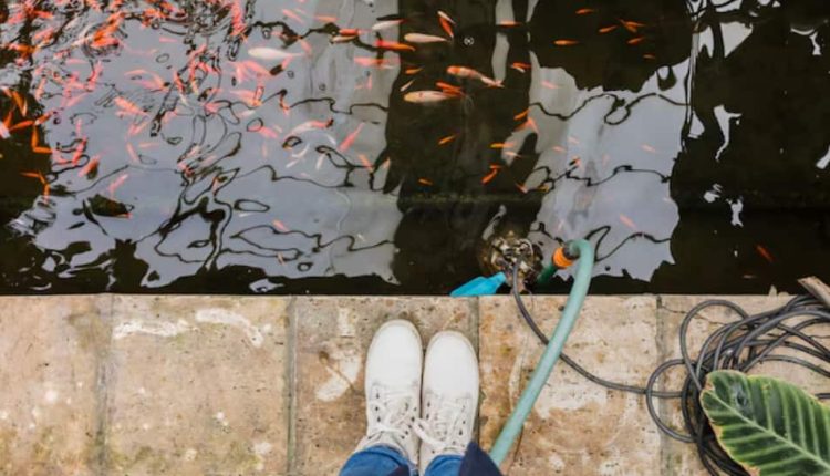 This Simple Rainwater Harvesting Trick Can Help You Save Thousands Of Litres During Monsoon | Science & Environment News