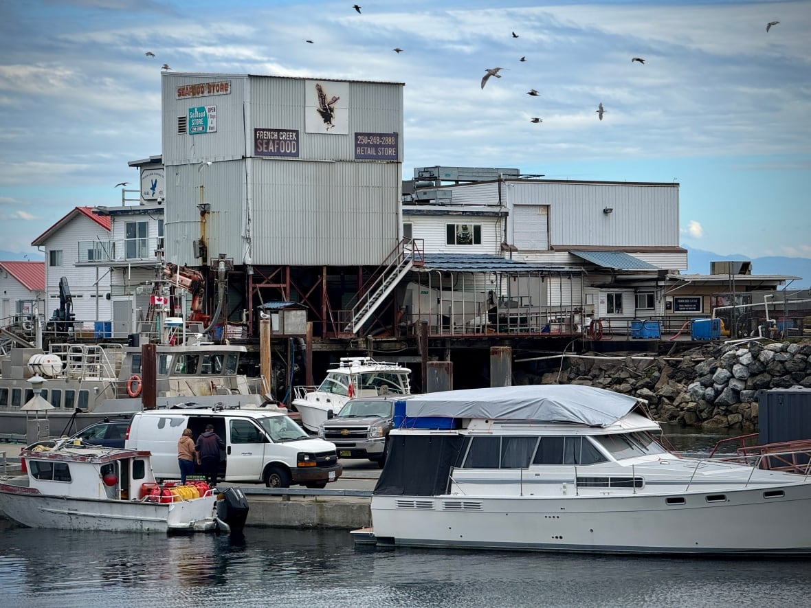 A building with a sign that says French Creek Seafood with boats below.