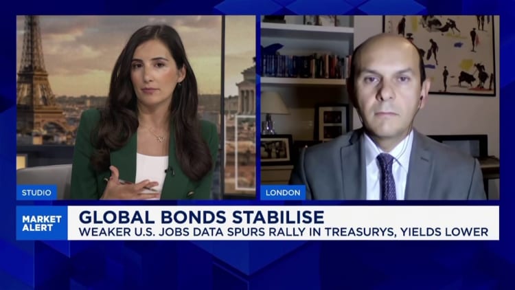 Almost a 'perfect storm' hitting the bond market, says economist