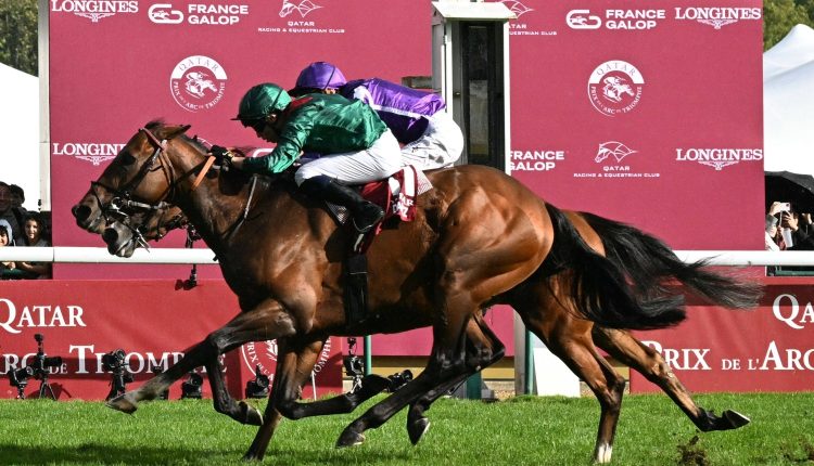Daryz wins emotional and thrilling Prix de l'Arc de Triomphe
