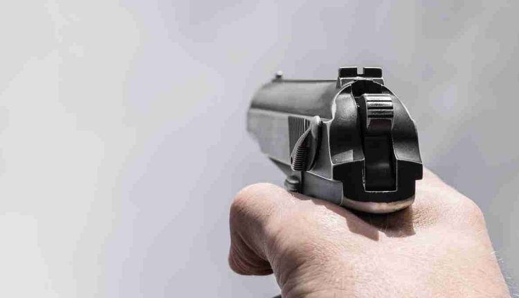 Bhopal News: Girl’s Death In Celebratory Firing; Weapons Seized From Licensed Owner For Ballistic...