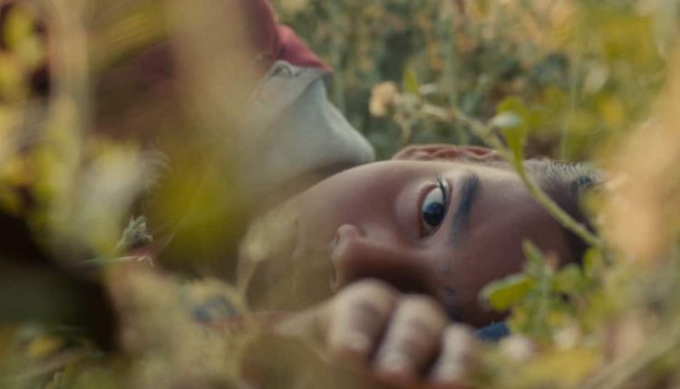 Humans In The Loop On OTT: When And Where To Watch Aranya Sahay-Directorial | Movies News