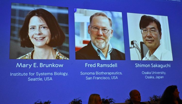Japanese immunologist among three Nobel medicine prize winners
