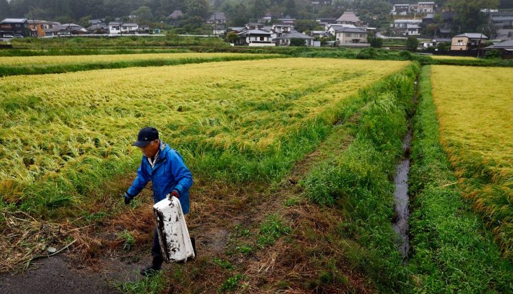 Japan's food self-sufficiency rate remains at 38%