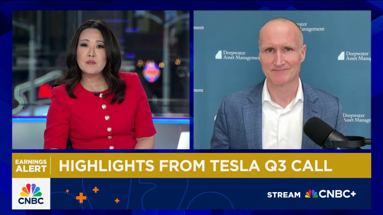 Tesla stock lower after Musk didn't mention robotaxi fleet, says Gene Munster