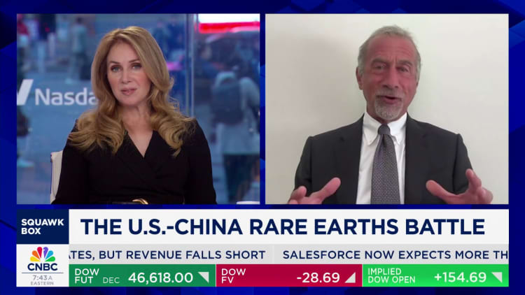 China views rare earths as a national treasure, says American Elements CEO Michael Silver