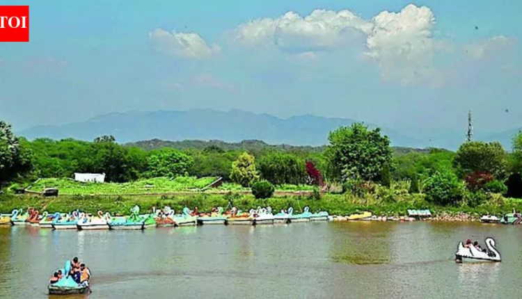 After 30 years, SC says it's time to let HCs look into state-related green issues | India News