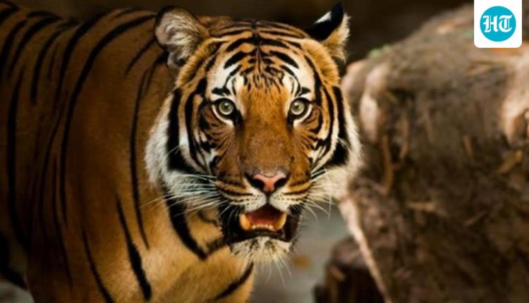 Weekend events you can’t miss in Jaipur (Dec 12-14)