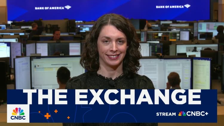 Earnings will drive small cap outperformance, says Bank of America's Jill Carey Hall