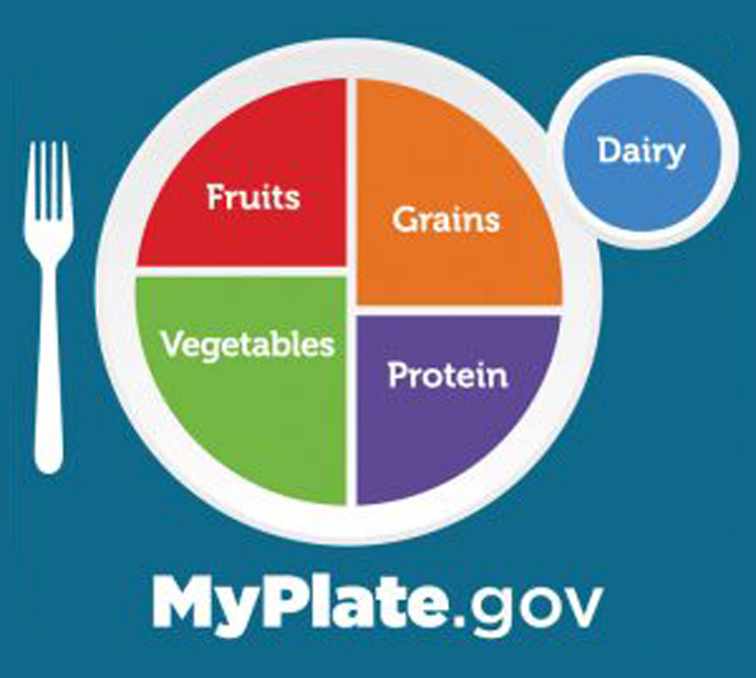 Illustration of the My Plate food graphic